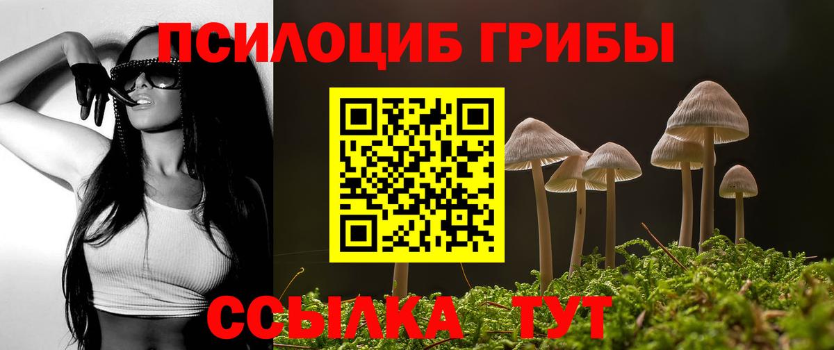 Лабинск  Псилоцибиновые грибы Psilocybe  Псилоцибиновые грибы Psilocybine cubensis  где можно купить   Вход с VPN 